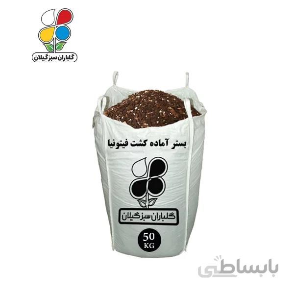 بستر آماده کشت فیتونیا عمده 50 کیلویی