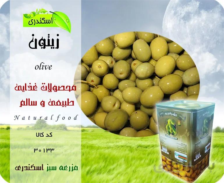 زیتون اعلاء دوکیلویی
