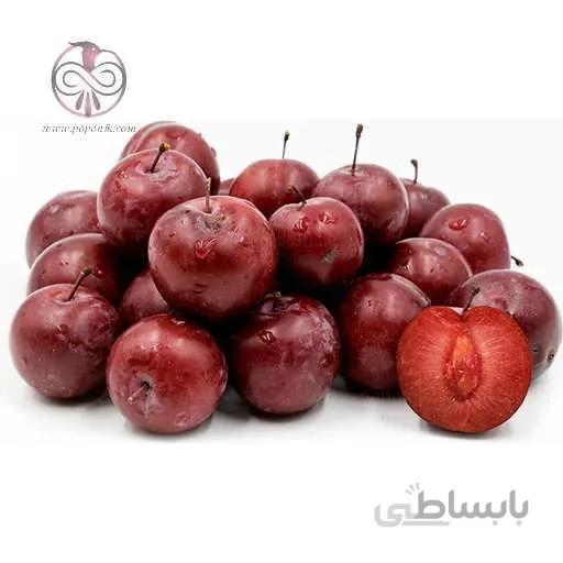 نهال آلوچه جنگلی