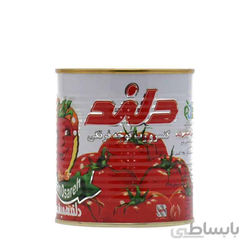 رب گوجه فرنگی 800 گرمی دلند