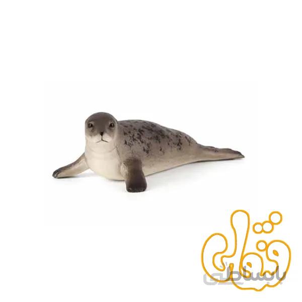 فوک آبی طوسی Grey Seal 387091