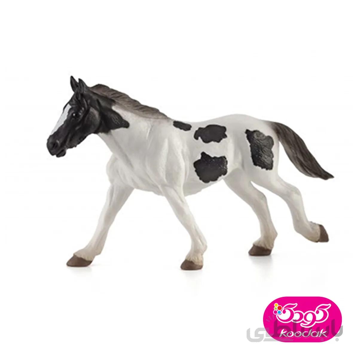اسب تینکر جوان 387219 – حیوانات موجو
