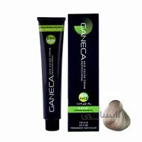رنگ مو گانسا شماره 9.81 رنگ بلوند شنی خیلی روشن ا GANECA Hair Color Cream Lightest Sandy Blonde No:SA9_9.81