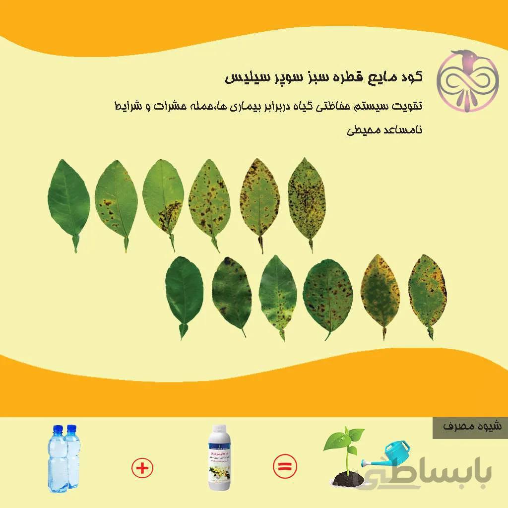 کود مایع قطره سبز سوپر سیلیس