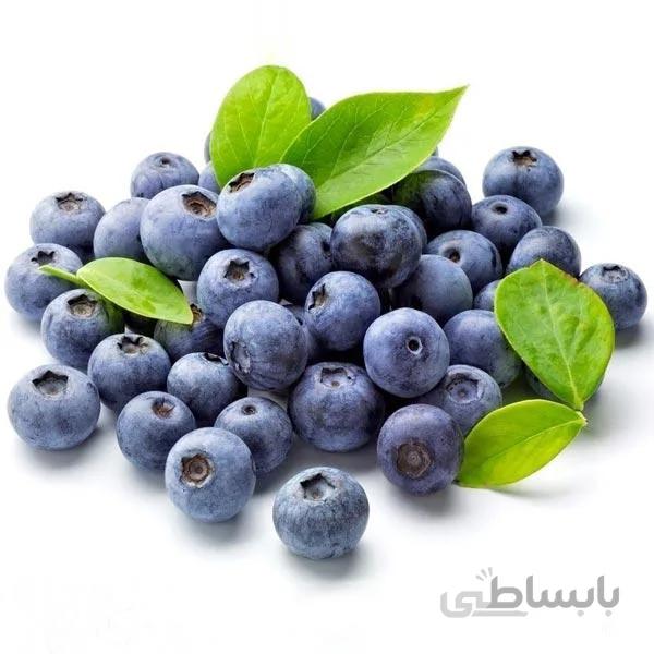 بذر بلوبری