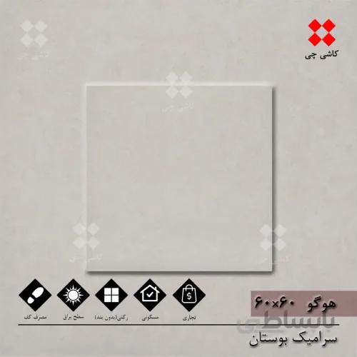 هوگو طوسی 60×60 براق درجه 1