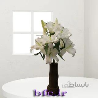 یک شاخه لیلیوم اورینتال