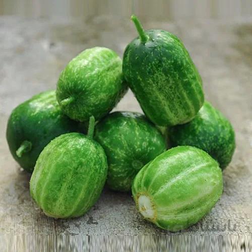 بذر خیار گرد سبز
