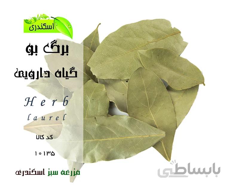 برگ بو