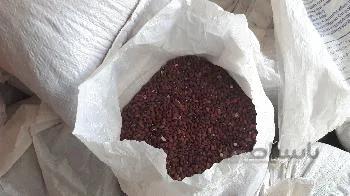 لوبیا قرمز بسته 1 کیلویی