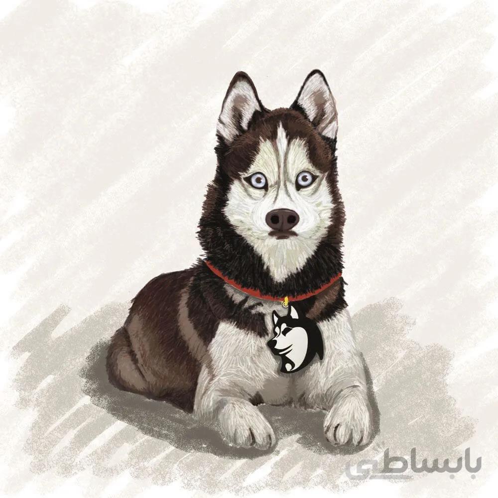 اویز قلاده استیل طرح سگ نژاد 13 کد CD 13 ا Steel Tag Dog Breed 13 Model CD-13