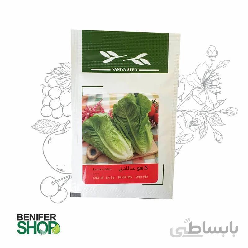 بذر خانگی کاهو سالادی آذر سبزینه