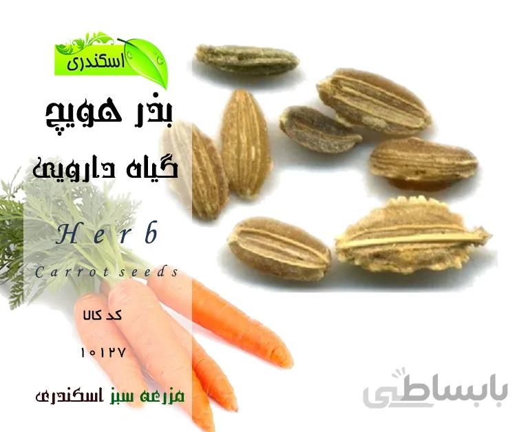 بذرهویچ