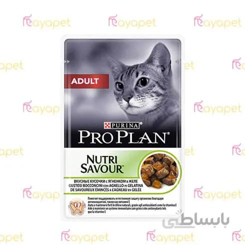 پوچ گربه بالغ پروپلن بره 85 گرمی
