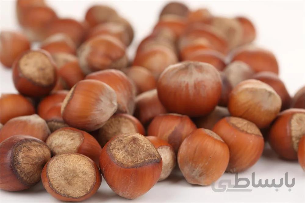 فندوق با پوست شور(بسته 150 گرمی) ا فندوق با پوست شور(بسته 150 گرمی)