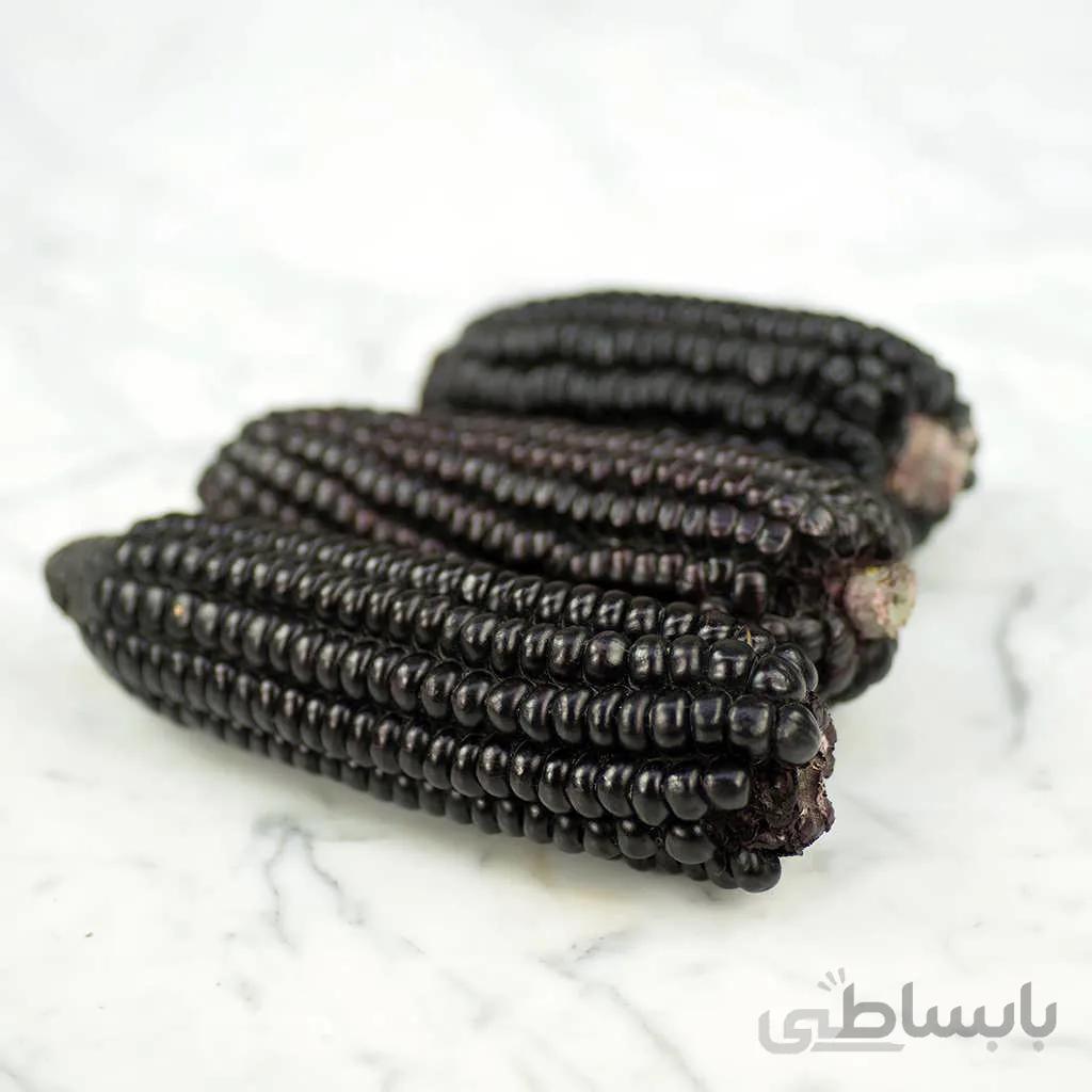 بذر ذرت سیاه آزتک