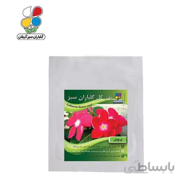 ( بسته 24 عددی ) بذر گل پریوش بسته بندی بزرگ