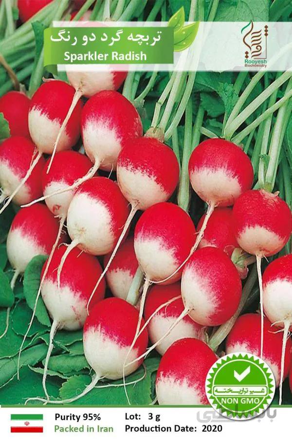 بذر تربچه دورنگ
