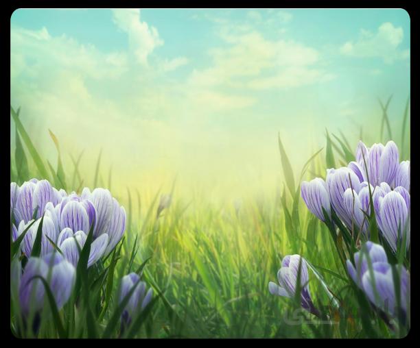 پوستر گل سه بعدی 057