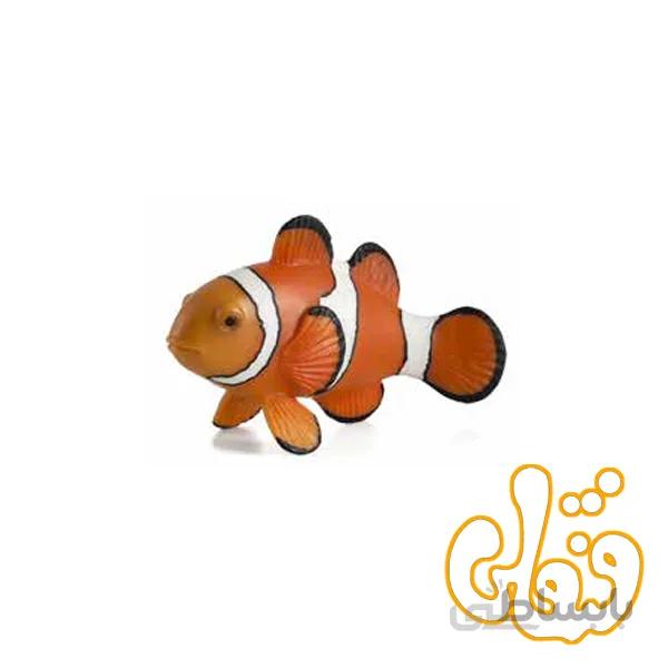 دلقک ماهی Clown Fish 387090