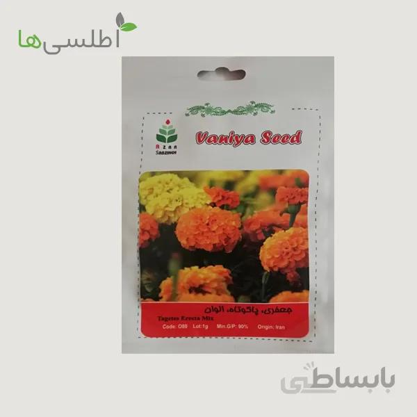 بذر گل جعفری