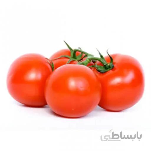 بذر گوجه فرنگی سنگ قرمز