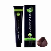رنگ مو گانسا شماره 6.1رنگ بلوند دودی تیره ا GANECA Hair Color Cream No:C6_6.1