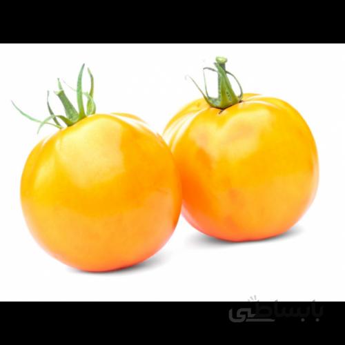 بذر گوجه فرنگی سبز درختی بسته ۱۰ عددی