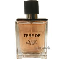 عطر جیبی مردانه اسکوپ مدل Tere d'e حجم 25 میلی لیتر