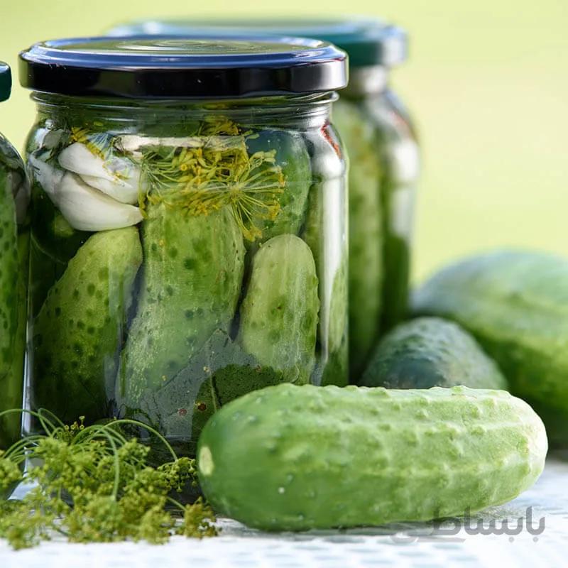 بذر خیار کوچک فرانسوی خیارشوری بسته 10 عددی