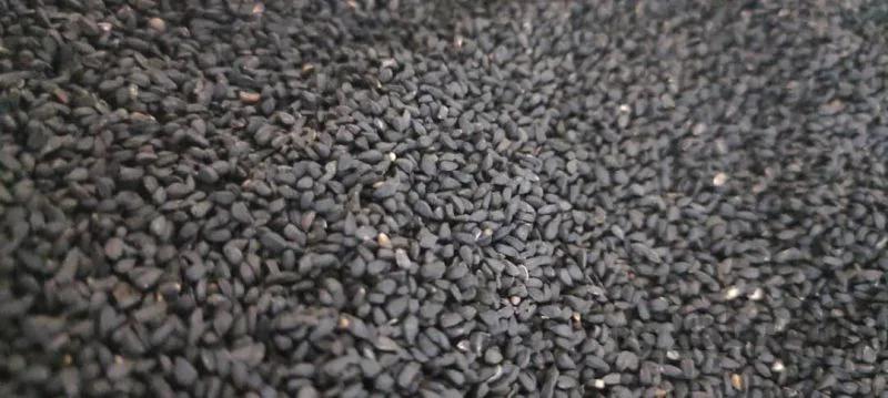 دانه سیاهدانه هندی روغن گیری