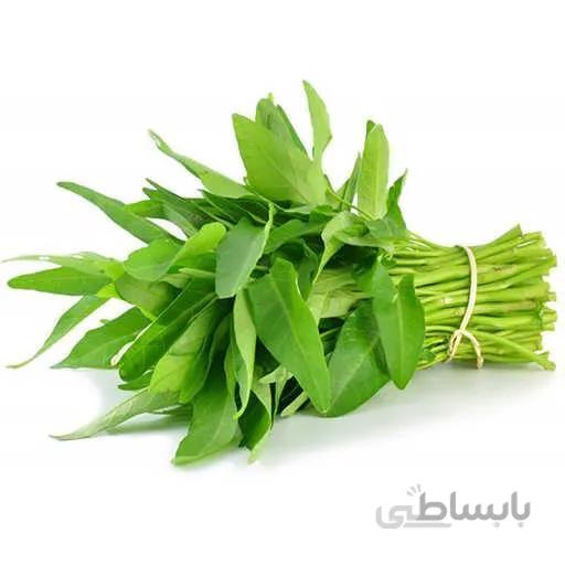 بذر اسفناج ابی برگ بامبو