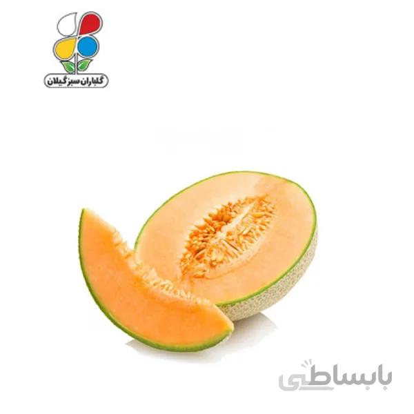 بذر گرمک بسته بندی بزرگ مدل GPSS7L