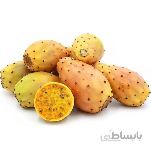 بذر کاکتوس اپونتیا میوه دار زرد