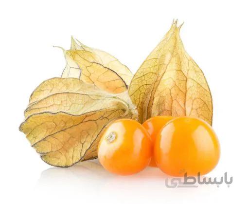 بذر فیسالیس کلمبیایی بسته 30 عددی