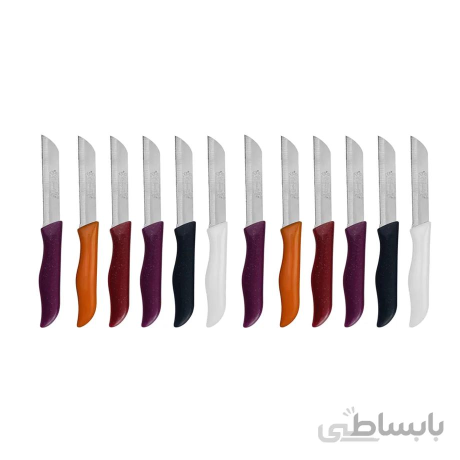 کارد میوه خوری فاردینوکس مدل دو آشپز تیغه بزرگ بسته 12 عددی