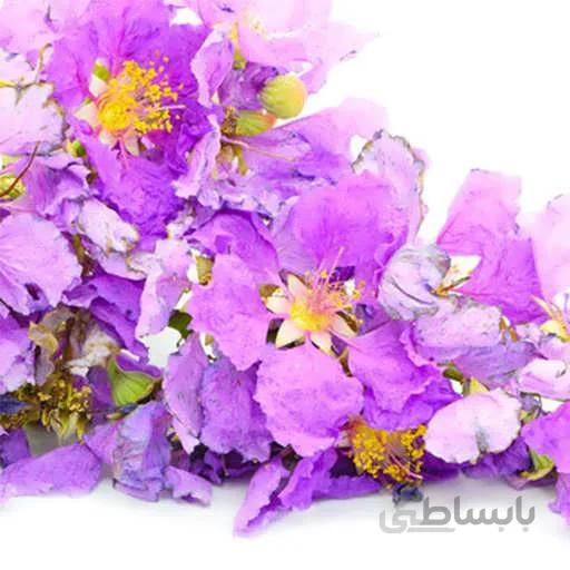 بذر درخت توری ملکه غول