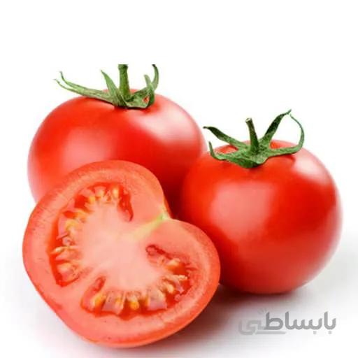 بذر گوجه فرنگی پیش رس CH