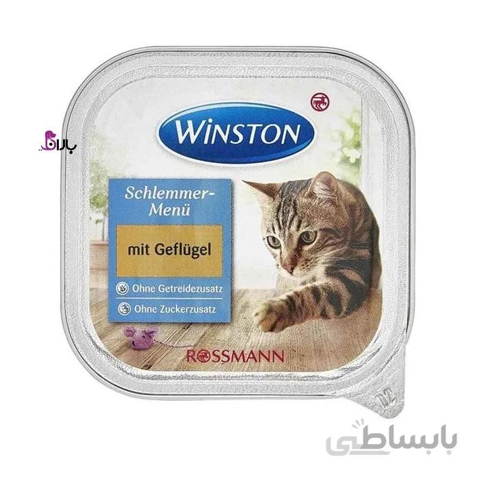 ووم گربه وینستون مرغ