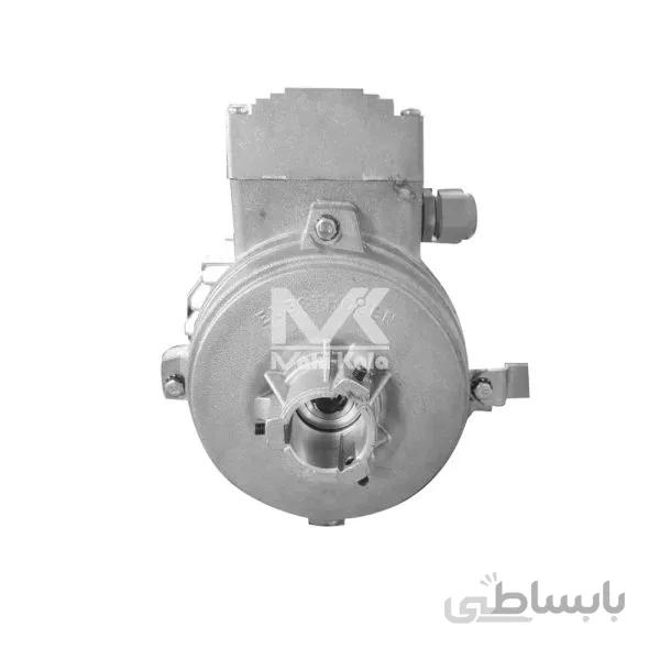 الکترو موتور 550 وات تک فاز الکتروژن IP54 جت هیتر آلفا
