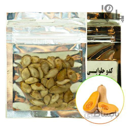 بذر کدو حلوایی کشاورزی فراز 30 گرمی