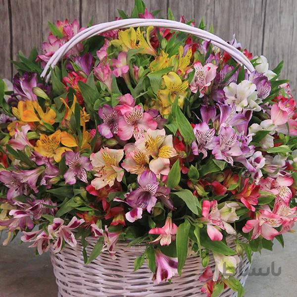 سبد گل آلسترمریا