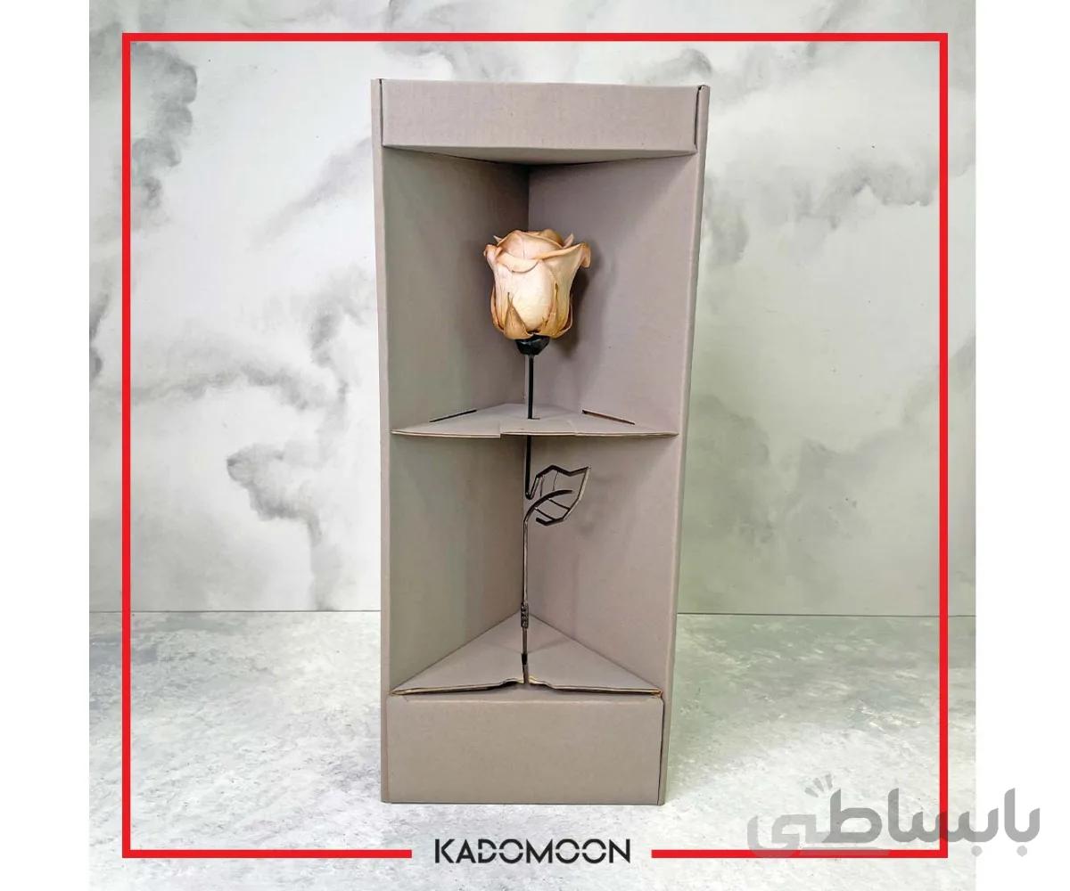 رز جاودان شامپاینی