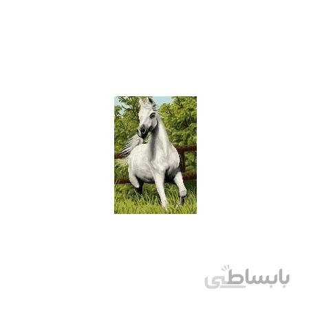 نخ و نقشه آموزشی تابلو فرش کد 3