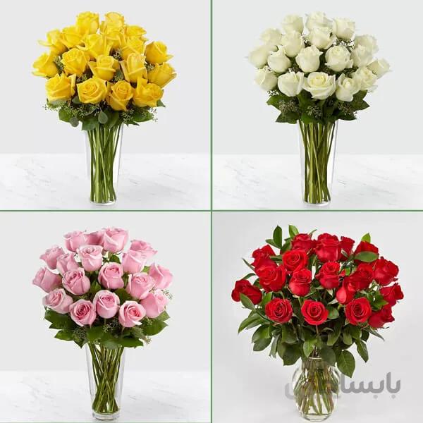 اشتراک گل رز هلندی