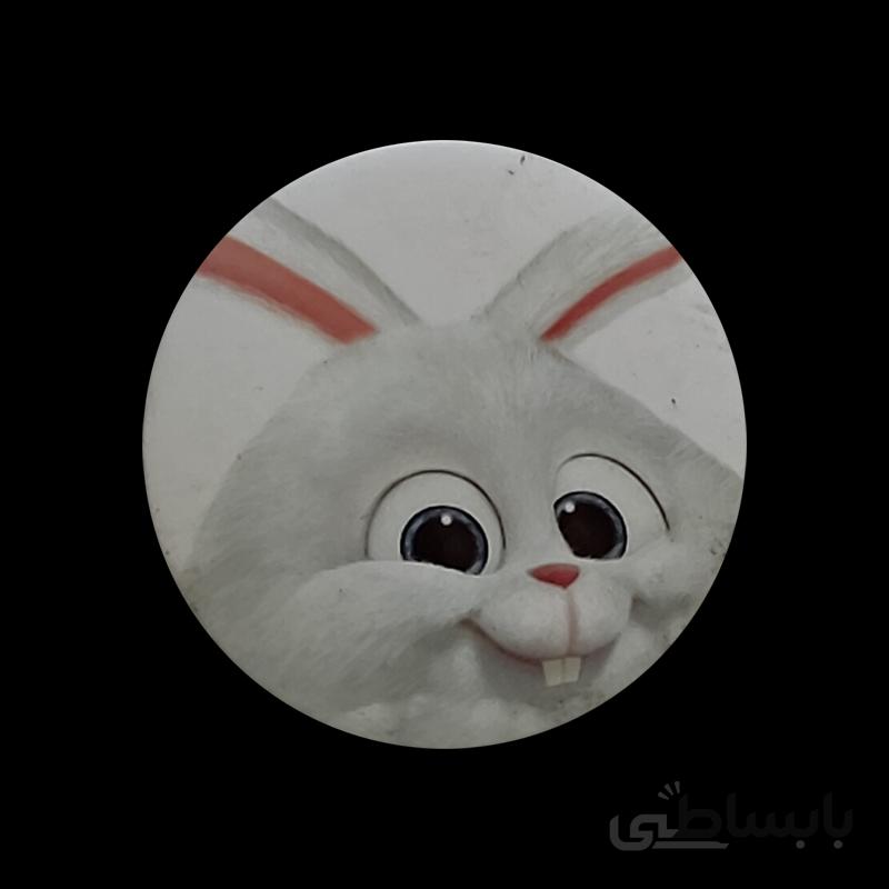 پیکسل خرگوش