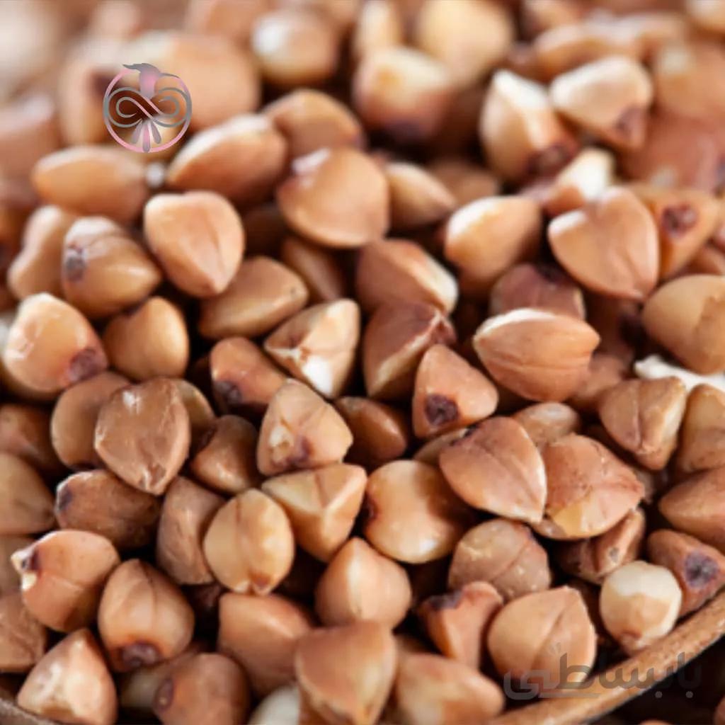 بذر گندم سیاه