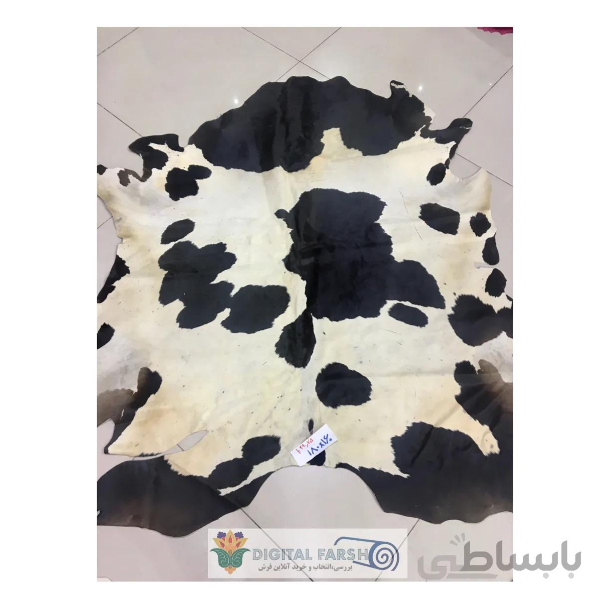 پوست طبیعی گاو تزنیِِینی 29.75 پا ا cow skin