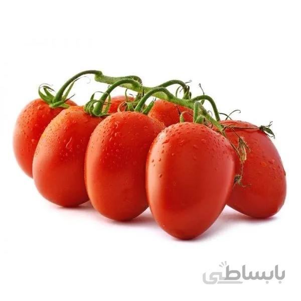 بذر گوجه فرنگی تخم مرغی (Plum)