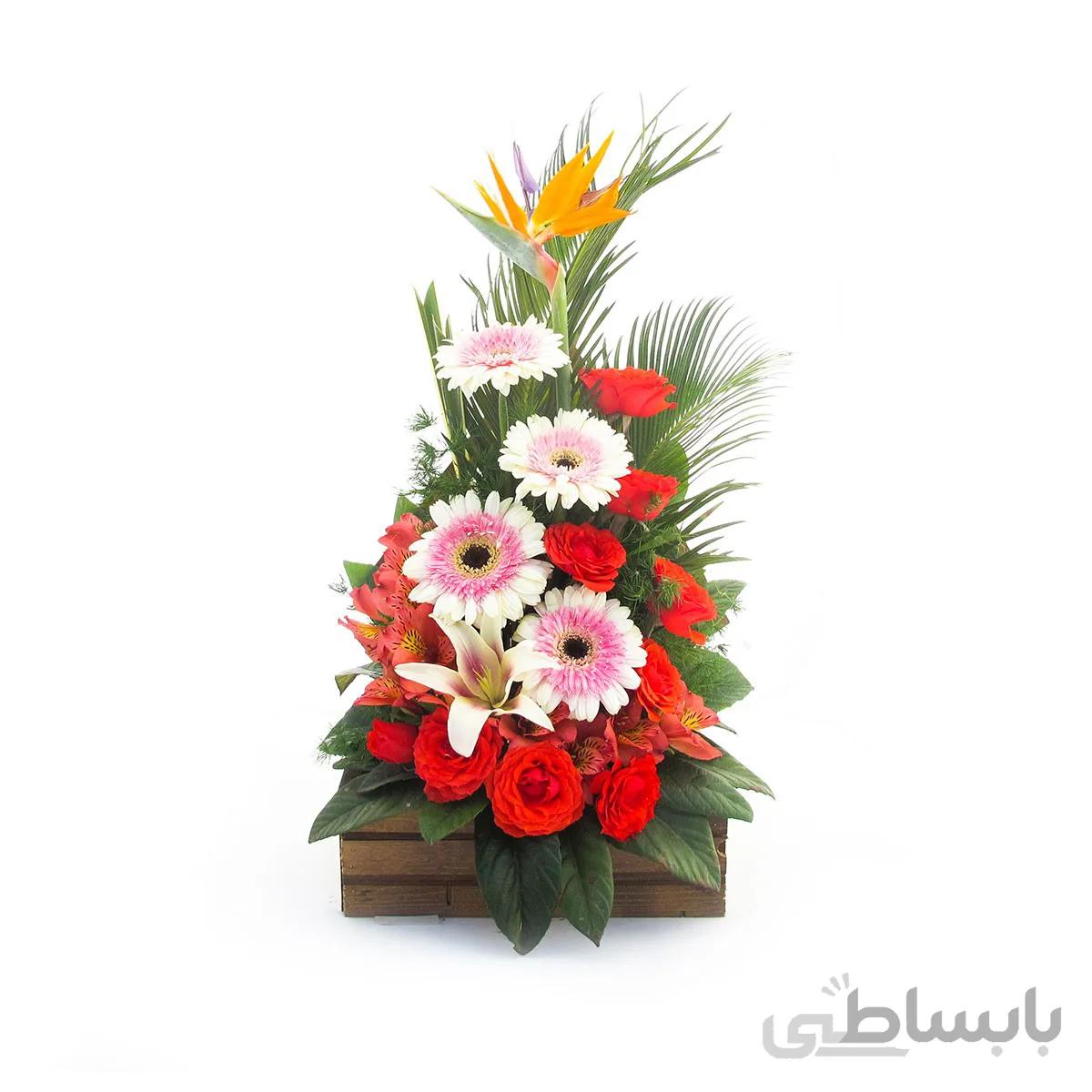 سبد گل نیلوفر
